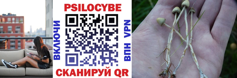 Галлюциногенные грибы ЛСД  Поворино 